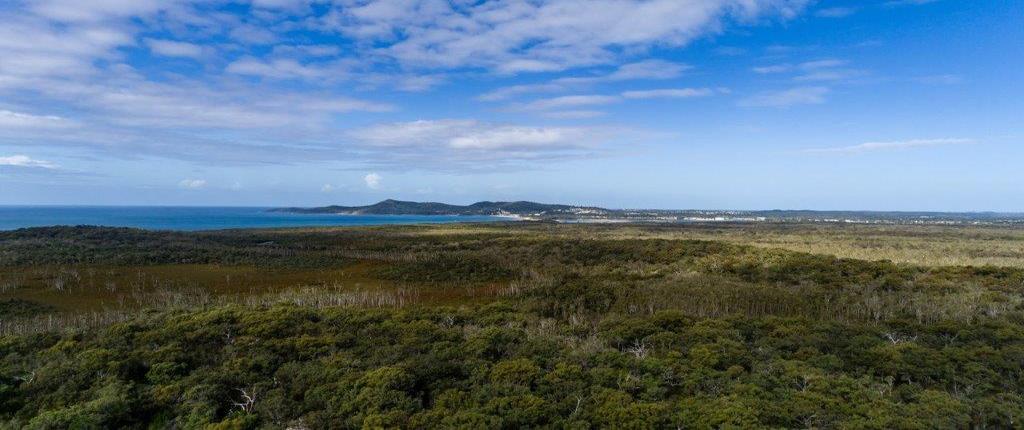 <span style="color: #faa94f;">and much more</span>