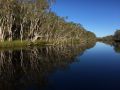 noosa everglades 001