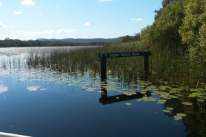 noosa everglades 002