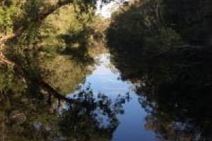 noosa everglades 005